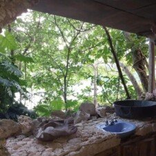 Bamboo Tree Bathroom View